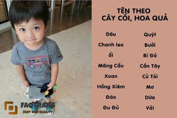 Tên ở nhà cho bé trai tuổi Mão