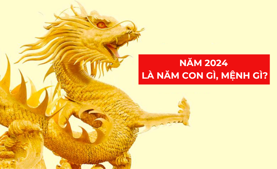 Năm nay Tết con gì? Gallery 1