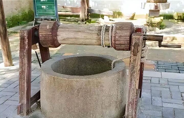 Thả Rùa Có Ý Nghĩa Gì?