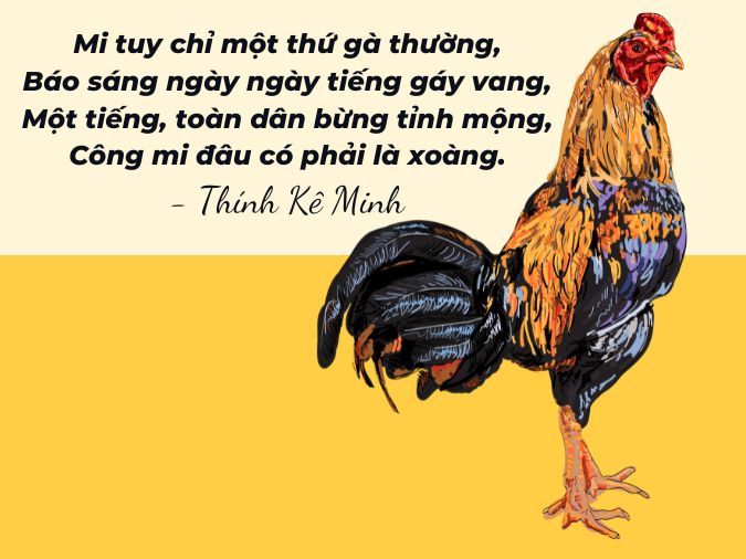 Những Câu Thả Thính Bá Đạo Về Gà, Ngọt Ngào Và Hài Hước Nhất Gallery 2