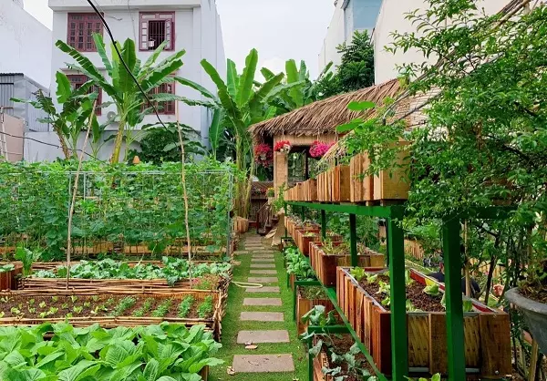Thả Thính Vườn Rau: Gần Gũi, Tươi Mát, Và Ngọt Ngào Như Tình Yêu