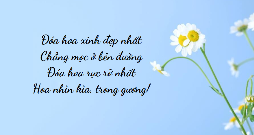 Thả Thính Tên Hoa: Những Câu Nói Hay Nhất Để "Đốn Gục" Ai Đó Gallery 1