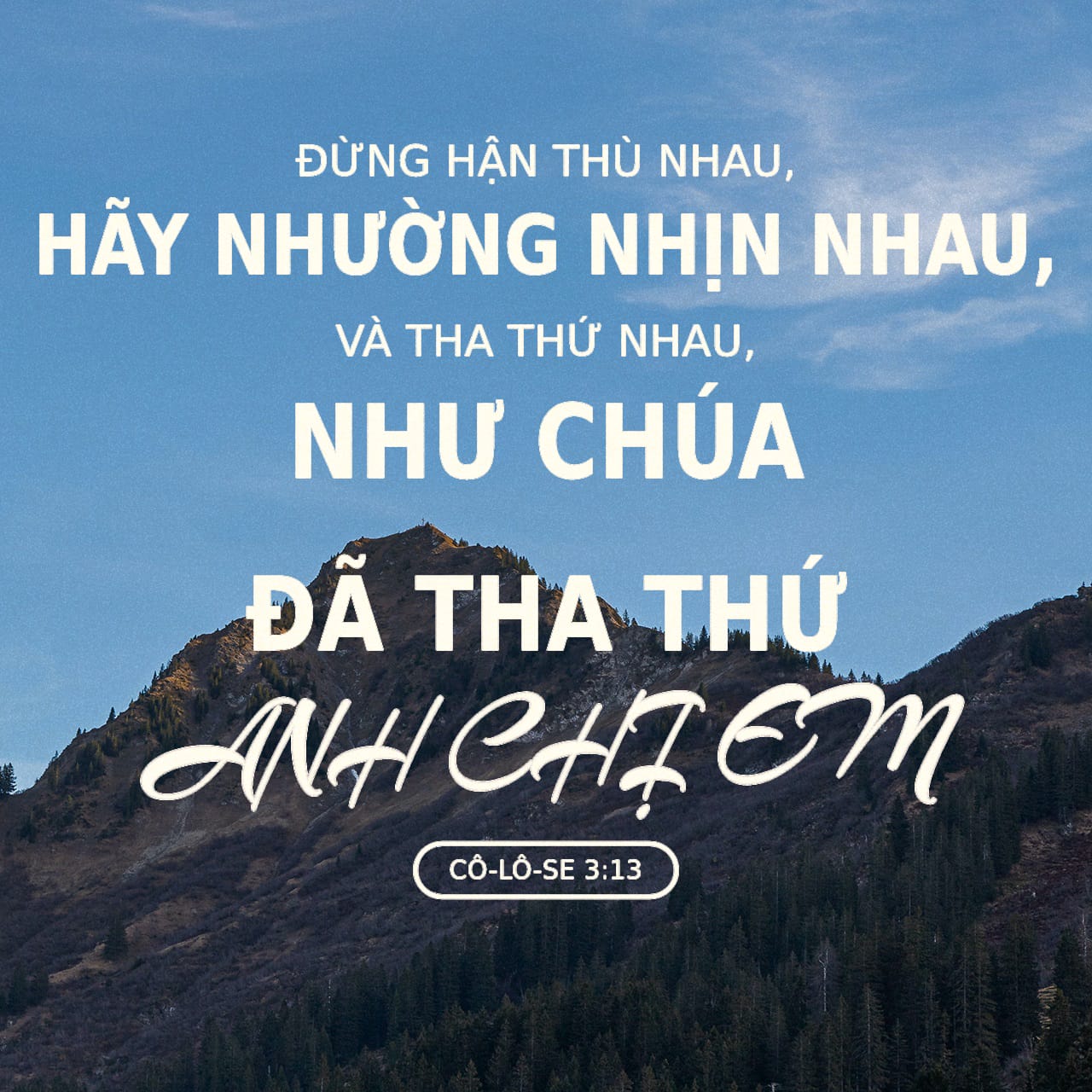 Tha Thứ và Ngừng Quan Tâm: Con Đường Tới Hạnh Phúc Gallery 2