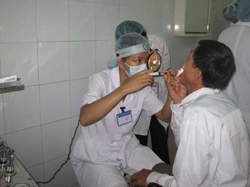 Thạch Sùng Rơi Vào Người: Điềm Báo, Ý Nghĩa Và Cách Xử Lý