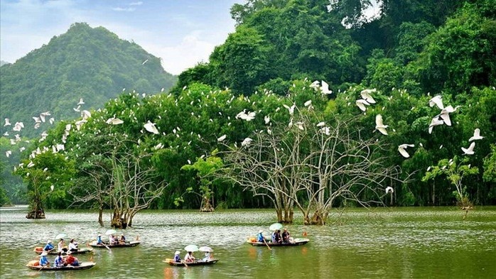 Liệu con người có thể sống tách rời thiên nhiên? Gallery 2