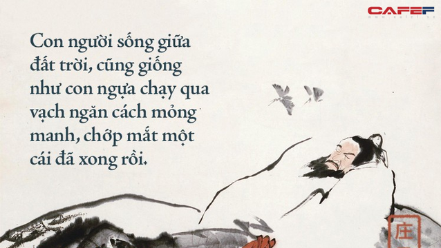 Cuộc sống tự do là gì? Hướng dẫn toàn diện về lối sống tự do Gallery 2