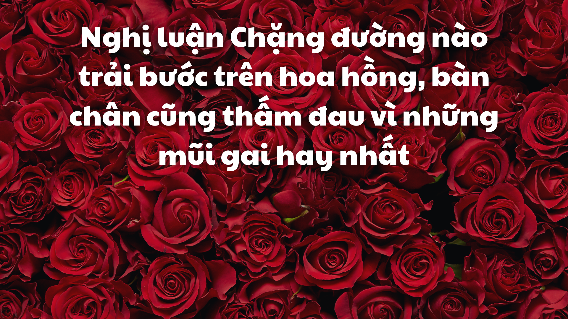 Suy nghĩ về tình yêu: Hành trình tìm kiếm hạnh phúc đích thực Gallery 2
