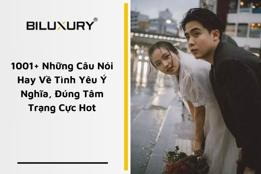 Những Câu Nói Hay Về Tình Yêu Đến Muộn Gallery 2