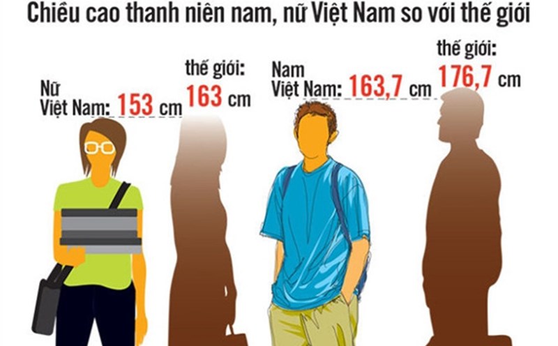 Người Lùn Việt Nam: Thực trạng, thách thức và cơ hội Gallery 2