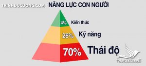 Thái Độ Là Gì?