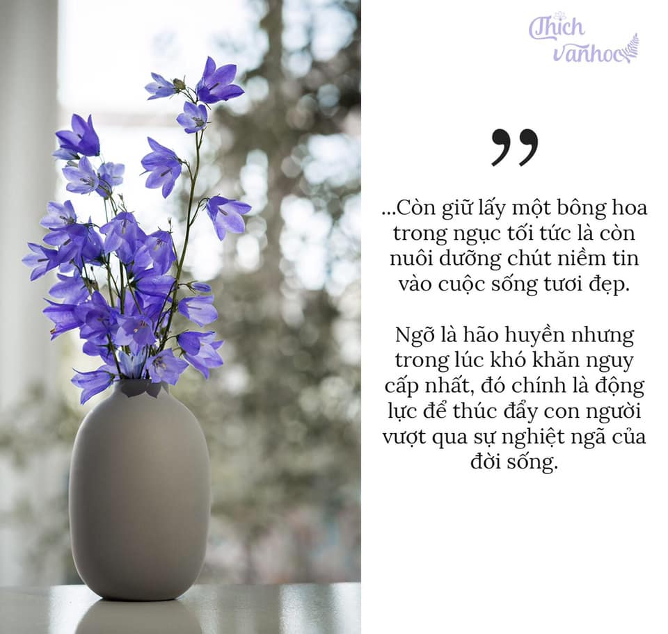 Thái độ lạc quan là gì?