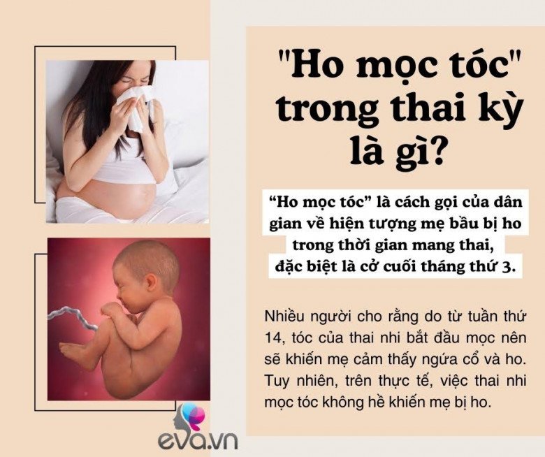 Thai Nhi Bao Nhiêu Tuần Thì Mọc Tóc?
