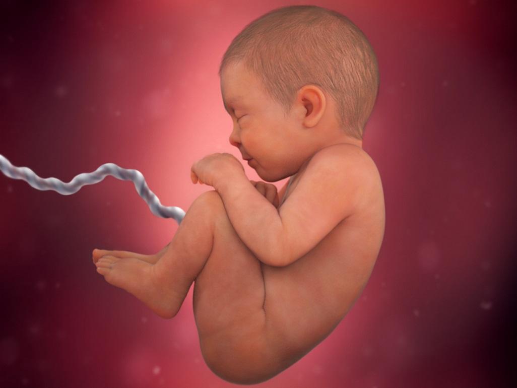 Thai nhi mọc tóc mẹ có biểu hiện gì?