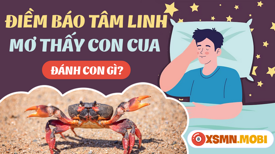 Cua Đánh Đề Con Gì? Gallery 1