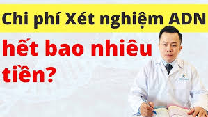 Hệ sinh thái đặc trưng của đai cận nhiệt đới gió mùa trên núi Gallery 2