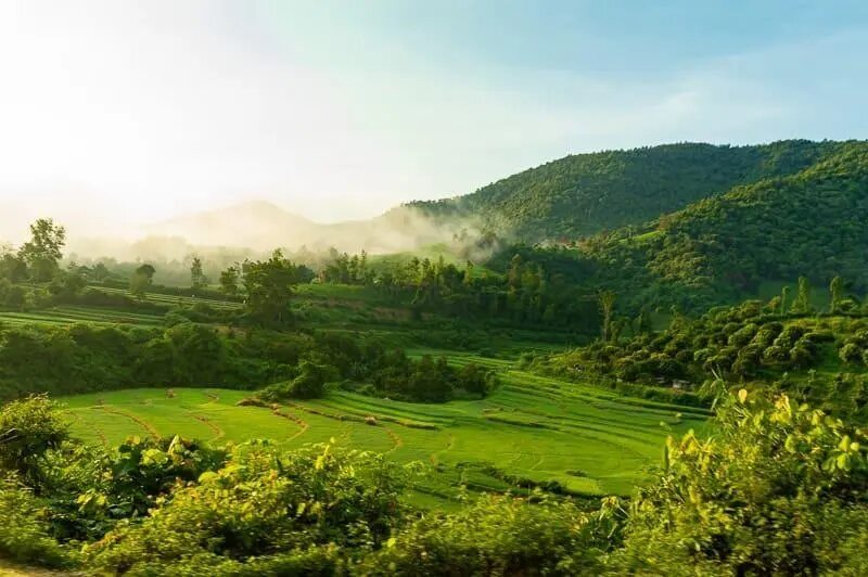 Thiên nhiên nhiệt đới ẩm gió mùa Gallery 2