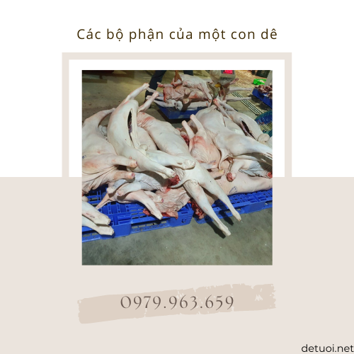 Các Bộ Phận Của Con Dê Gallery 2
