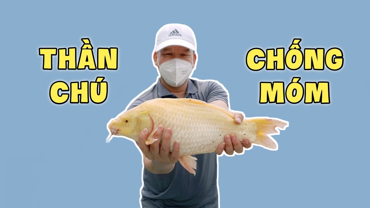 Thần Chú Câu Cá: Bí Quyết Câu Được Nhiều Cá