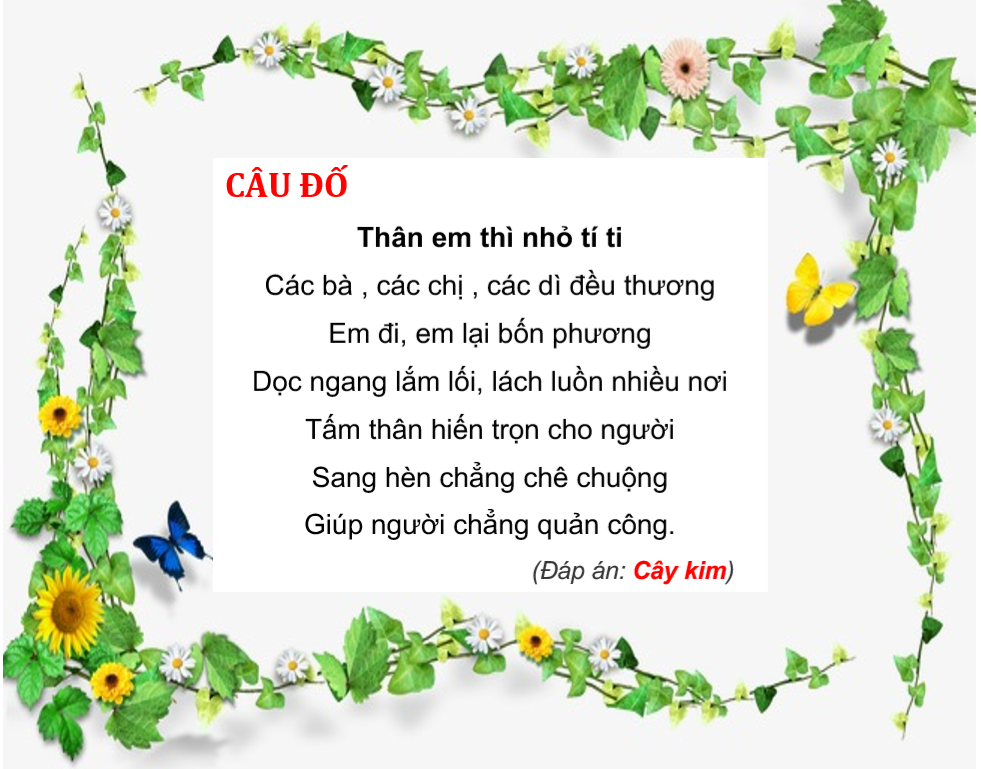 Thân em thì nhỏ tí ti