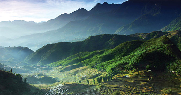 Bí quyết vẽ tranh đẹp như tranh thật của một họa sĩ lão luyện Gallery 2