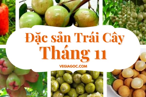 Tháng 11 là mùa trái cây gì?