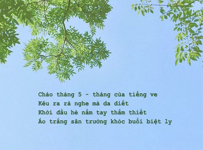 Thơ Về Tháng 5 - Mùa Hoa Phượng Rực Rỡ Gallery 2