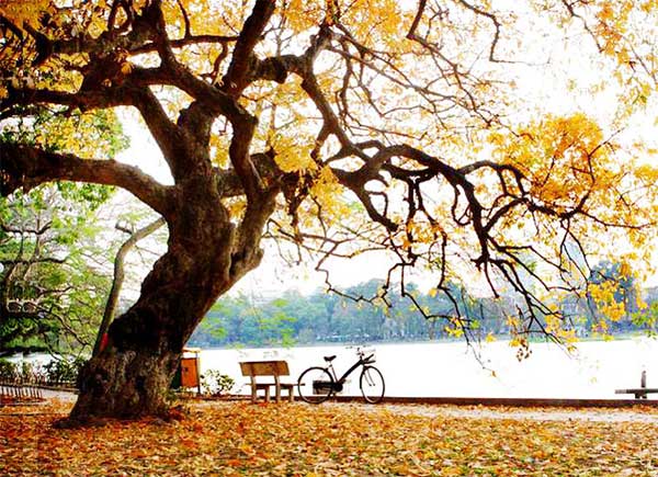 Tháng 8 Mùa Thu: Không Khí Se Lạnh Và Những Hoạt Động Hấp Dẫn