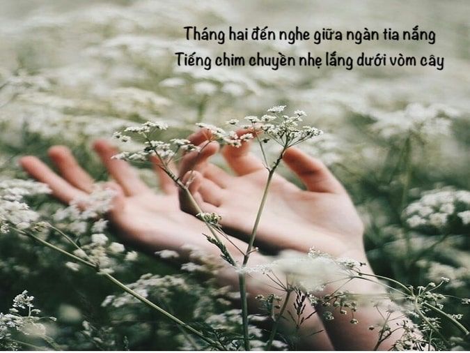 Thơ Về Tháng Hai - Mùa Xuân Ngàn Hoa Gallery 2