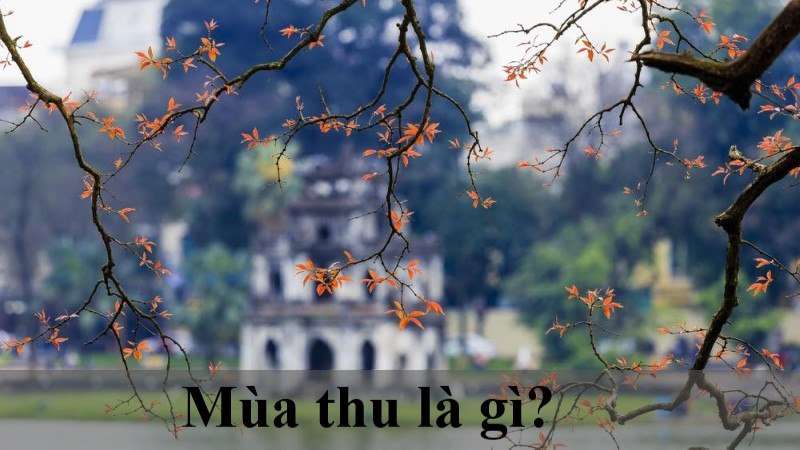 Tháng Mấy Là Mùa Thu?