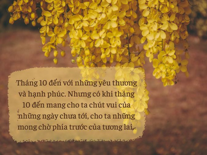 Thơ Hay Về Tháng 10 - Mùa Thu Vàng Lãng Mạn Gallery 2