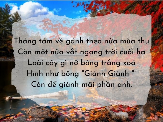 Thơ Về Tháng 8 - Mùa Thu Về Gallery 2