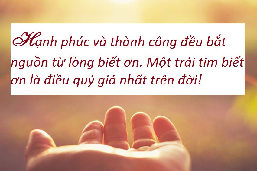 Thành công đến từ việc bạn biết