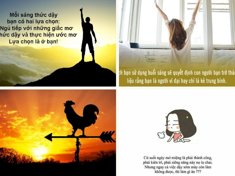Dậy sớm để thành công: Meme hay hiện thực? Gallery 1