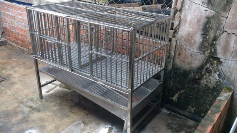 Thanh Lý Chuồng Chó Tại Hà Nội