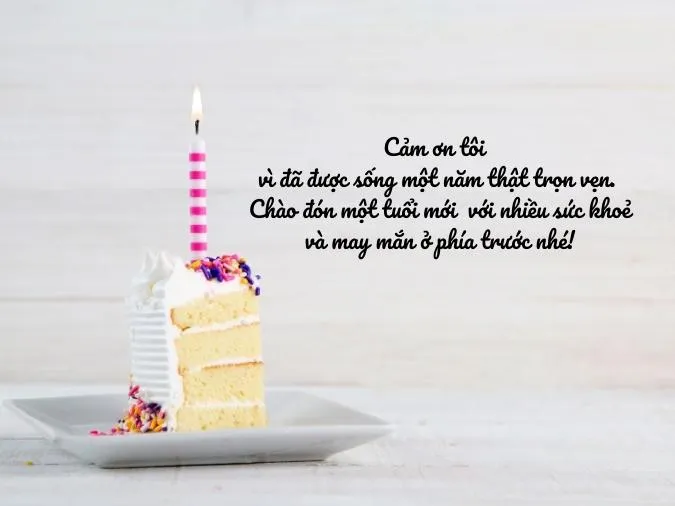 Thành Ngữ Chúc Mừng Sinh Nhật Hay Và Ý Nghĩa Nhất