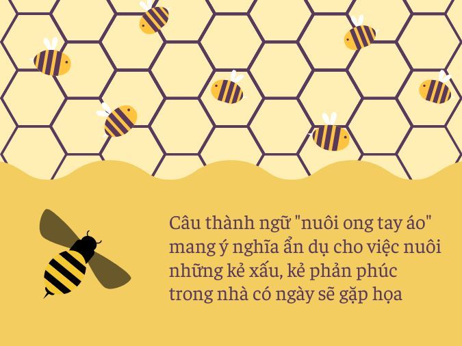 Giải thích nghĩa các thành ngữ Gallery 2