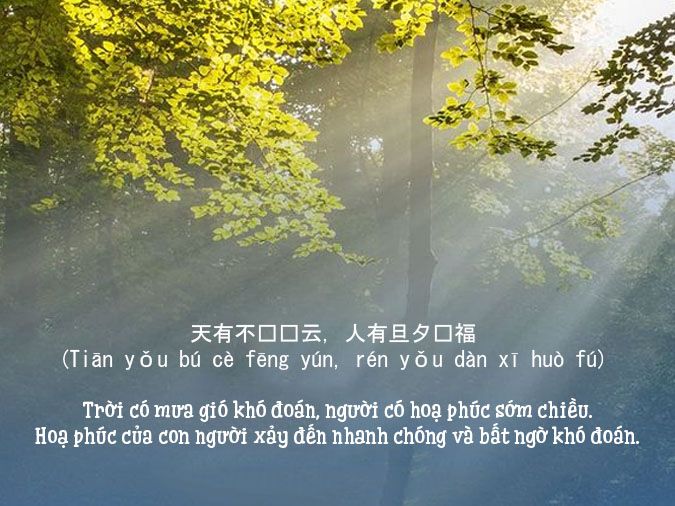 Thành Ngữ Tiếng Trung Về Cuộc Sống: Những Câu Chuyện Tóm Lược Trong Một Câu