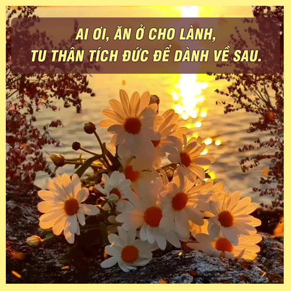 Thành Ngữ Về Lòng Nhân Hậu: Tìm Hiểu Sức Mạnh Của Tình Người