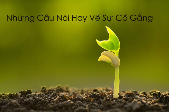 Thành Ngữ Về Sự Cố Gắng: Khám Phá Ý Nghĩa Và Lời Khuyên Từ Ca Dao Tục Ngữ