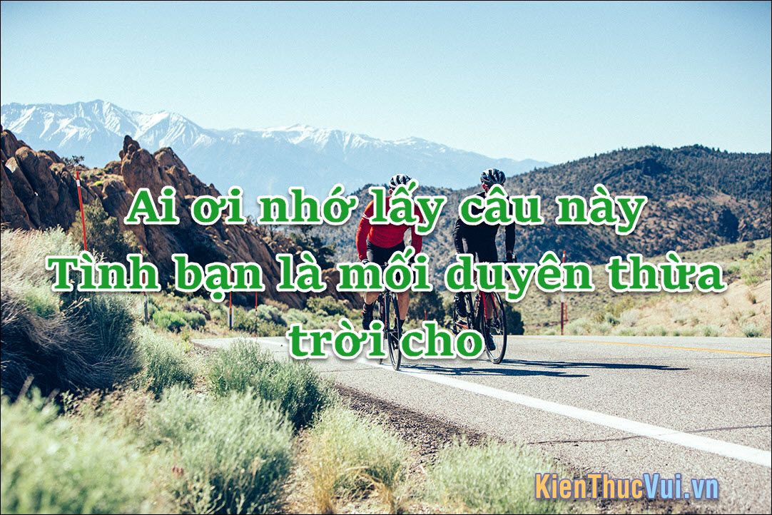 Thành Ngữ Về Tình Bạn: Kho Tàng Ca Ngợi Tình Cảm Cao Quý