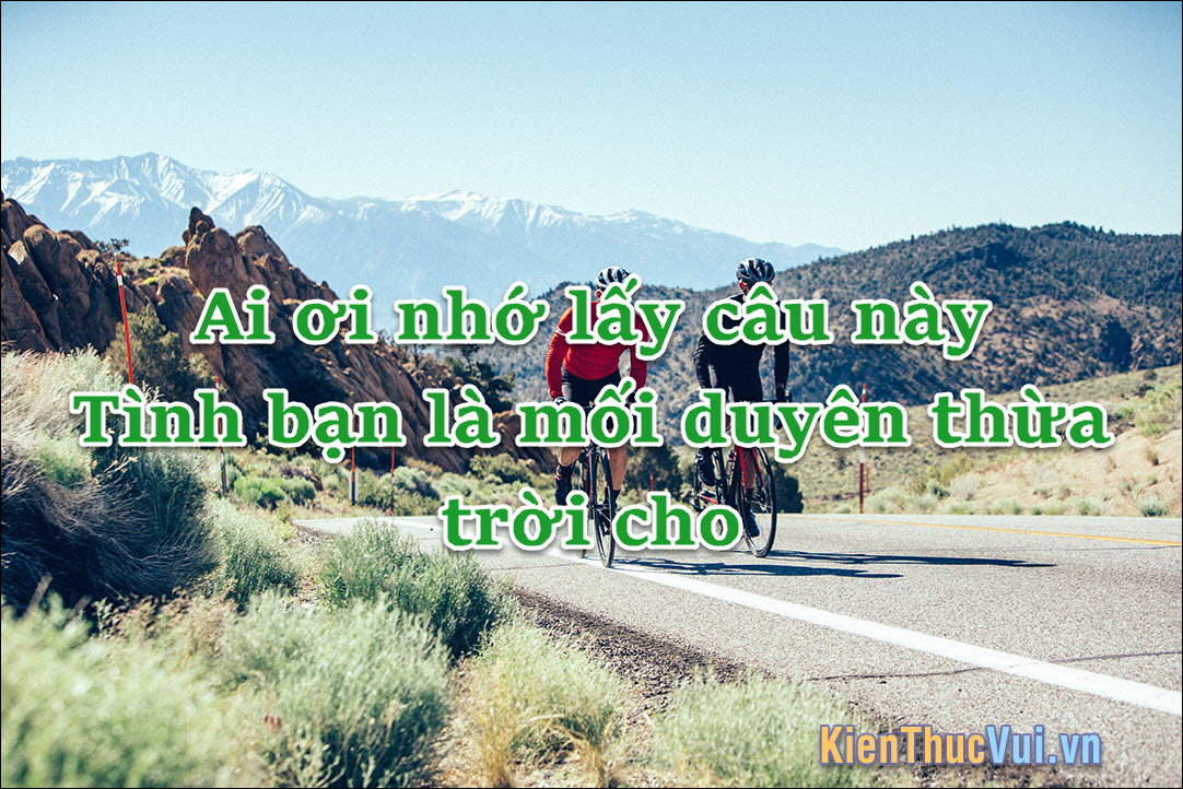 Thành Ngữ Về Tình Bạn: Kho Tàng Ca Ngợi Tình Cảm Cao Quý Gallery 2