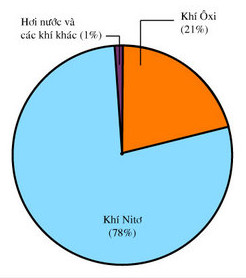 Chất nào chiếm tỉ lệ lớn nhất trong không khí? Gallery 1