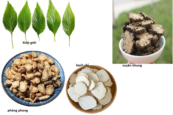 Xuyên Khung Trà Điều Tán Gallery 1