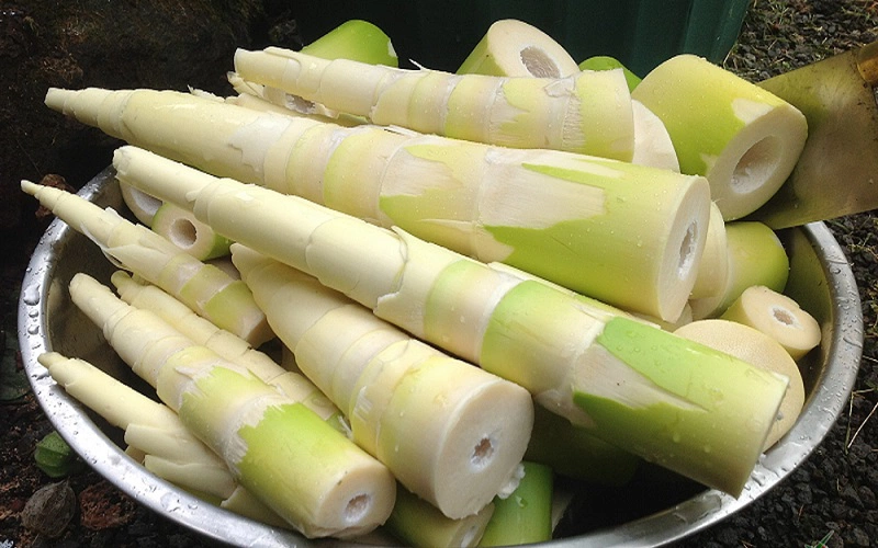 Tác dụng của măng tre đối với sức khỏe Gallery 1