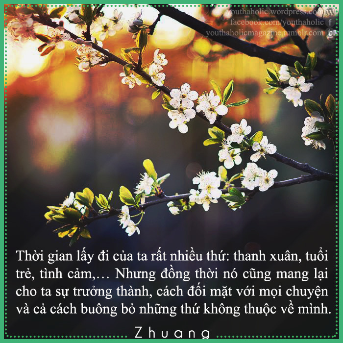 Thanh Xuân Lấy Đi Một Khoảng Thời Gian