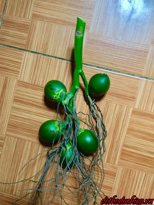 Thắp Hương Cau Lại Buồng