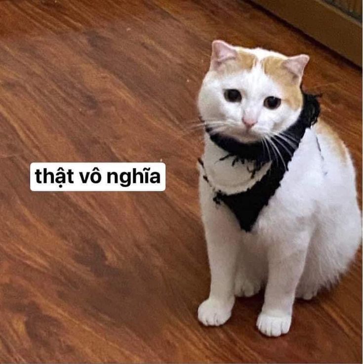 Thật Là Vô Nghĩa