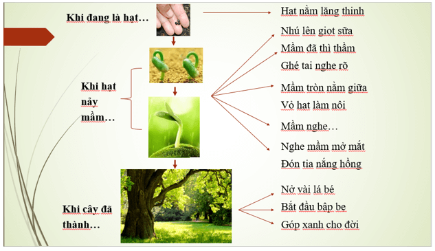 Suy ngẫm và phản hồi lời của cây Gallery 1