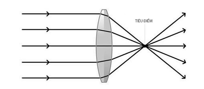 Thấu kính hội tụ là gì?