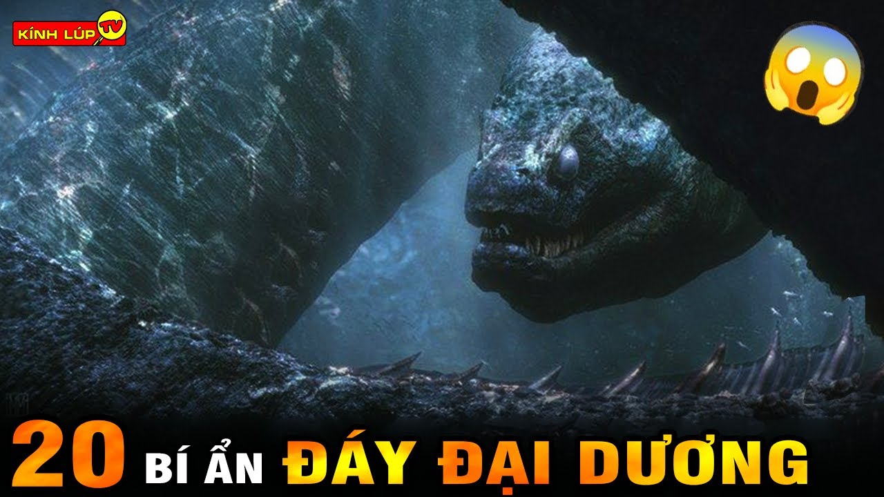 Những Bí Ẩn Ly Kỳ Của Đại Dương Sâu Thẳm Gallery 1